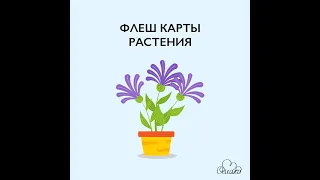 Флеш карты растения (Flashcards - Plant)