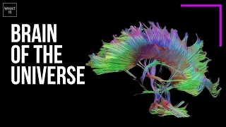 Structure Of The Brain VS  The Universe | Actual Similarities Found The Universe is a Big Neural Net