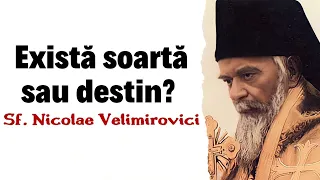 Există soartă sau destin? – Sf. Nicolae Velimirovici