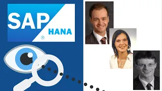 SAP HANA - Diese Möglichkeiten gibt es!