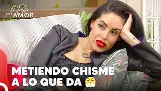 Jessica No Deja De Echar Puyas Al Tormento Amoroso De Andreína | El Poder Del Amor Capitulo 53