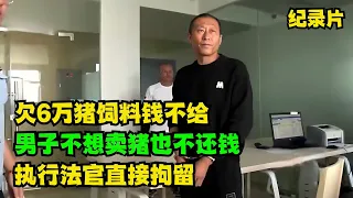 欠6万猪饲料钱不给，男子不想卖猪也不还钱！执行法官直接拘留  #老赖 #执行现场  #真实事件 #社会百态