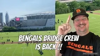 Bengals rookie minicamp