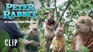 "Peter Rabbit" - Clip "Contra Relógio" (Sony Pictures Portugal)