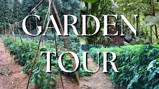 June Garden Tour | What We Are Growing to Feed our Family of 4 | 2023