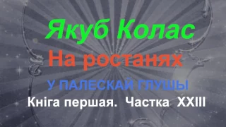 23. Аўдыёкніга Якуб Колас. У ПАЛЕСКАЙ ГЛУШЫ.Частка 23- 2017год