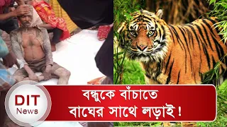 নিছক গল্প নয় বন্ধুকে বাঁচাতে বাঘের সাথে লড়াই করে, বেঁচে ফিরলেন সুন্দরবনের বাবলু | Tiger | Dit News