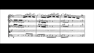 J. S. Bach – Cantata "Lass, Fürstin, lass noch einen Strahl", BWV 198