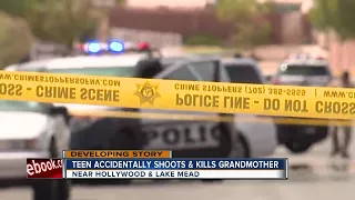 Grandson accidentally shoots, kills grandmother