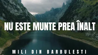 Mili din Barbulesti - NU ESTE MUNTE PREA - NALT