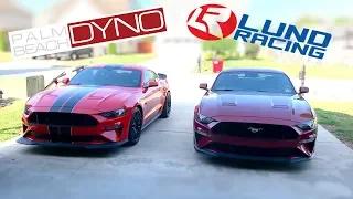 2018-2019 Mustang GT - LUND RACING vs PALM BEACH DYNO - WHO’s THE BEST?