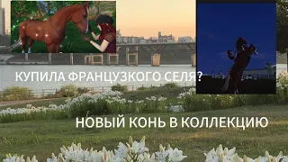 КУПИЛА ФРАНЦУЗСКОГО СЕЛЯ? НОВЫЙ КОНЬ?/STAR STABLE ONLINE💗