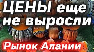 Цены на рынке в Турции/Аланья/Махмутлар Субботний рынок 11 декабря 2021 | Алания