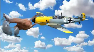 Animal gets hit by plane