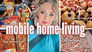 OUR MONTHLY GROCERY BUDGET 💲| large family doing mobile home living | large family meal prep!