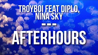 TroyBoi Feat. Diplo, Nina Sky || Afterhours || Lyrics full of photostock free videos