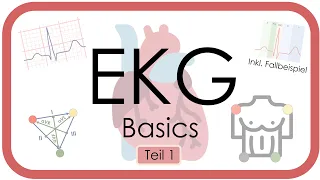 EKG Basics - Step by Step - Grundlagen (Einthoven, Frequenz, Lagetyp, P-Welle, QRS) EKG-Kurs