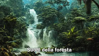 Suoni della foresta tropicale - 1 Ora di rumori della natura, uccelli, jungla per addormentarsi