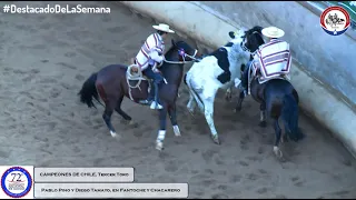 #DestacadodelaSemana Las cuatro carreras de los Campeones de Chile, Pino y Tamayo