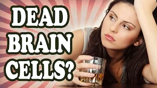 Does Drinking Alcohol Really Kill Brain Cells?