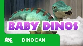 Dino Dan | Best of - Dino Babies