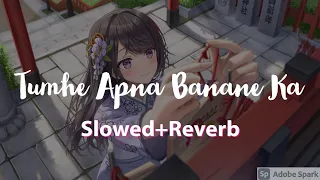 Tumhe Apna Banane Ka | Slowed Reverb | Hate Story 3 | Amaal Mallik ft. Armaan Malik & Neeti Mohan