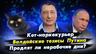 Кот-наркокурьер, Валдайская речь Путина, Продлят ли нерабочие дни? (16+)