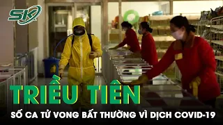 Số Ca Tử Vong Vì Dịch Covid-19 Tại Triều Tiên Khiến Giới Chuyên Gia Nghi Ngờ “Bất Thường” | SKĐS