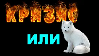 Кризис уже ест. Что делать?