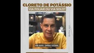 Cloreto de Potássio via FOLIAR ou via SOLO