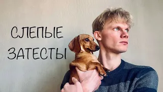 Слепые затесты от Оли Фиолочки