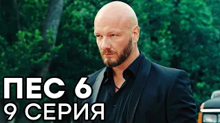 Сериал ПЕС 6 - 6 сезон - 9 серия - ВСЕ СЕРИИ смотреть онлайн | СЕРИАЛЫ ICTV