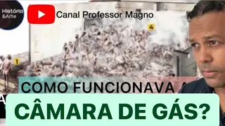 Câmaras de Gás: funcionavam? | AUDIOTEXTO. Enem