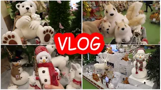 VLOG Новогодний шоппинг в Эпицентре