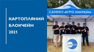 Всеукраїнський день картоплі – Картопляний Блокчейн 2021