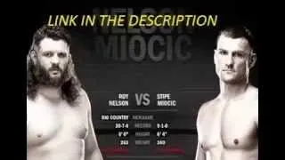 UFC 161-Roy nelson vs Stipe Miocic