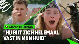 BOKTOR BIJT HARD EN LAAT NIET LOS! 😵 | Steken en Prikken | Seizoen 4 #2 NPO Zapp