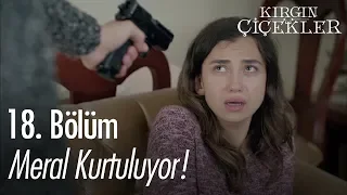 Meral kurtuluyor! - Kırgın Çiçekler 18. Bölüm