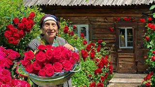 Rural Life | Grandma Rose Making Jam From Rose and Crispy, Aromatic Gogal Pastries