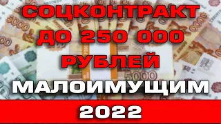 Соцконтракт до 250 000 рублей в 2022 году