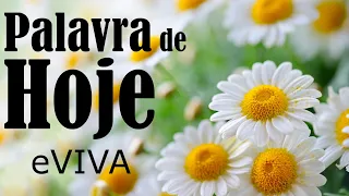 PALAVRA DO DIA 19 DE ABRIL DE 2024 | DEVOCIONAL DIÁRIO | MOTIVACIONAL E REFLEXÃO DE VIDA eVIVA