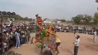 Camel and Horse Dancing in Rajasthan, India