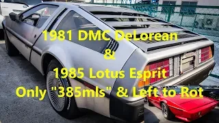 Japan Car Auction | 1981 DMC DeLorean & 1985 Lotus Esprit