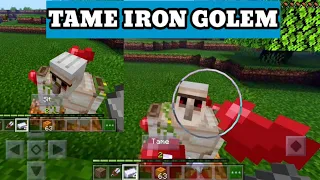 MINECRAFT BUT YOU CAN TAME IRON GOLEM - MINECRAFT