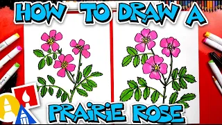 How To Draw A Prairie Rose Flower