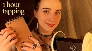 ASMR 1H Pure Gentle Tapping ✨ Guess the Item (whispered)