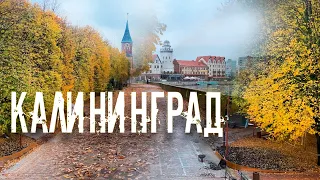 |4K| Калининград. Осень. Октябрь 2023
