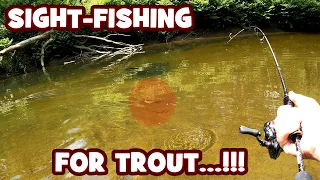 SIGHT-FISHING for CHROWT in a CLEAR CREEK...!!! | Pennypack Session