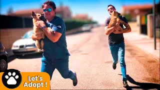 You have never seen anything like this… we rescued the puppies and RAN AWAY!