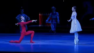 Tchaikovsky’s iconic Nutcracker ballet delights audiences in Moscow